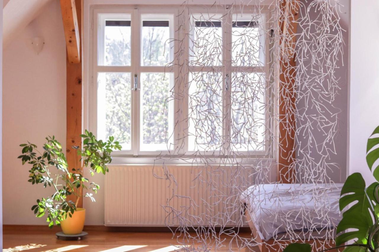 Apartment In The Heart Of Bled With Views Экстерьер фото